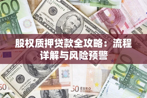 济南股权质押贷款全攻略：流程详解与风险预警