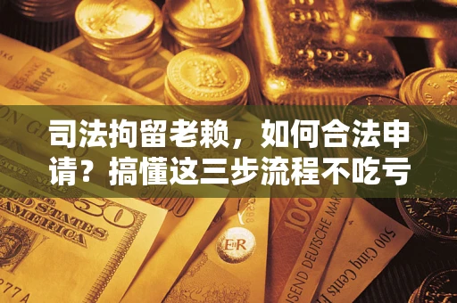 济南司法拘留老赖，如何合法申请？搞懂这三步流程不吃亏！